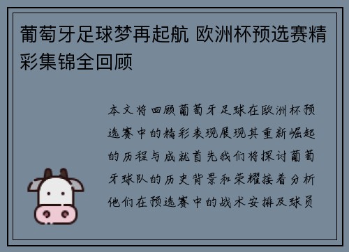 葡萄牙足球梦再起航 欧洲杯预选赛精彩集锦全回顾